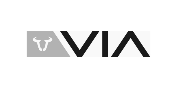 Logo VIA sw-motech