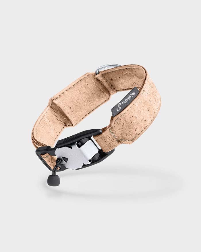 FollowPaw dog collar in cork with silver buckle