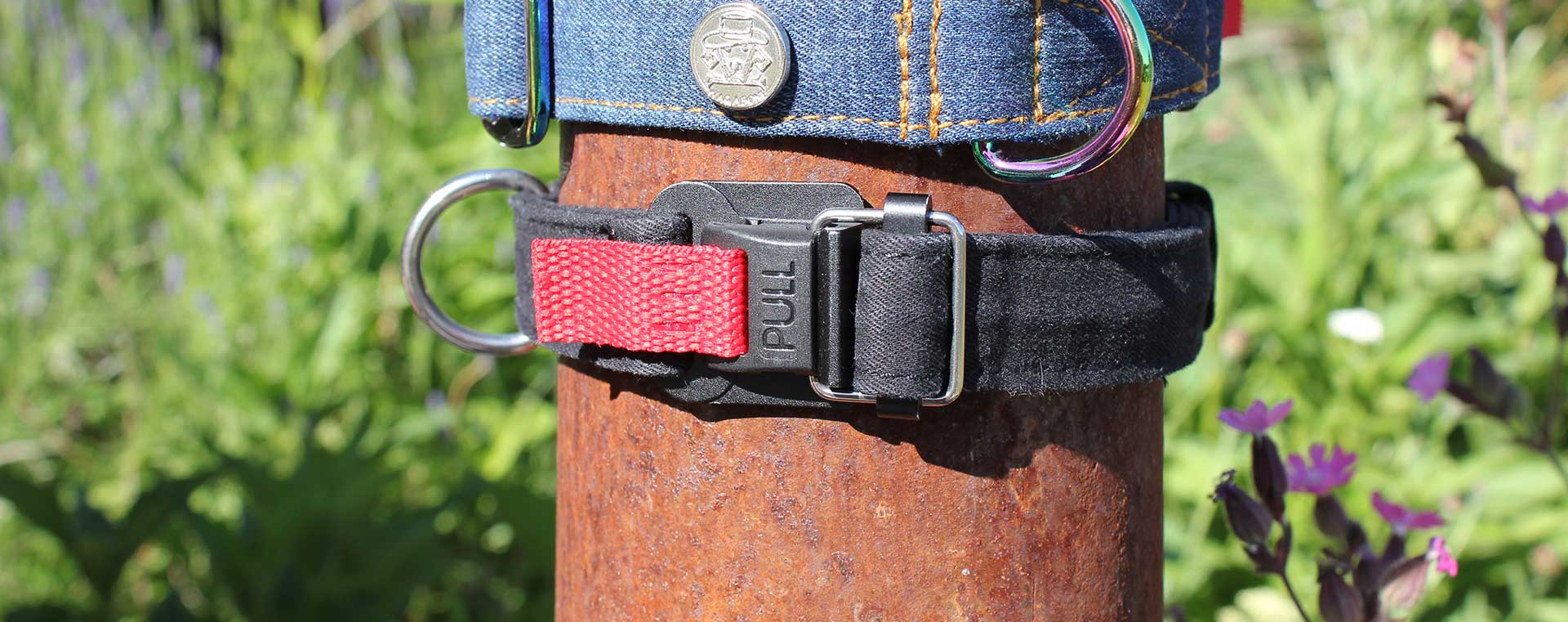 Two different collars by Wagabone with the HOOK 25 buckle by FIDLOCK