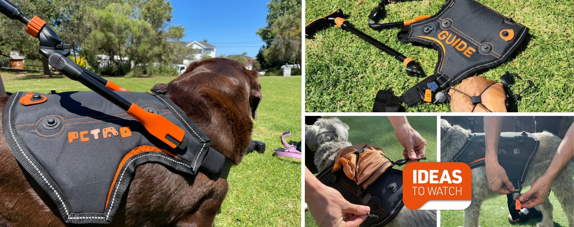 petmod dog harness with fidlock buckles