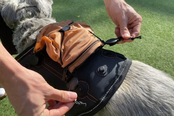 petmod detail with fidlock snap