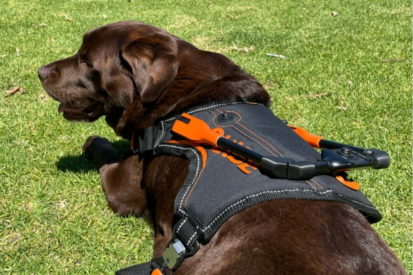 petmode dog harness with fidlock snap push