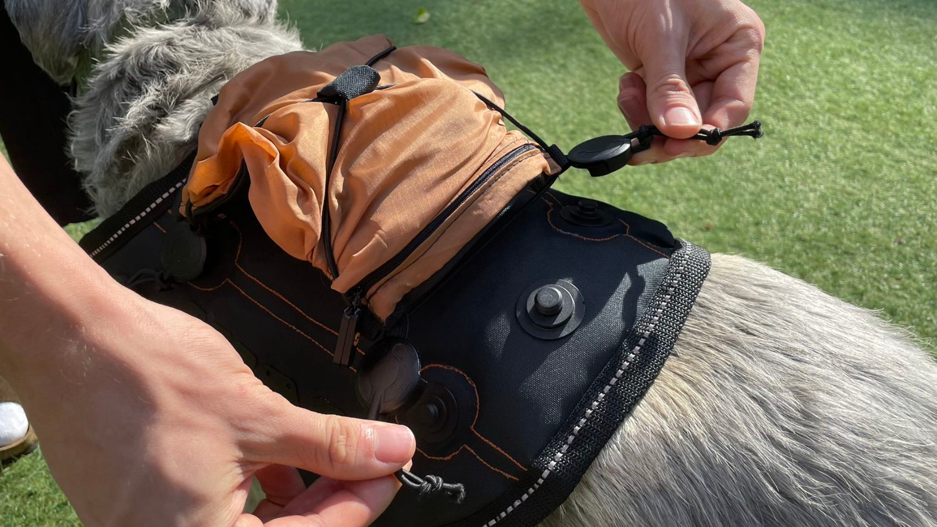 FIDLOCK in action: petmod