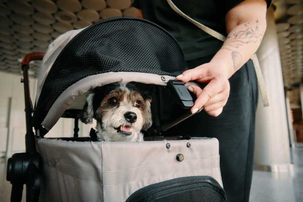fidlock dog carrier 