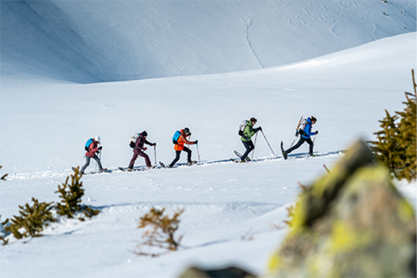 preview picture of the snowshoes by evvo