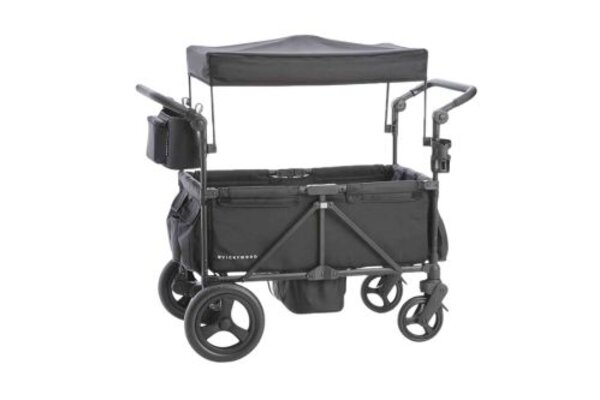 preview of the vickywood buggy 