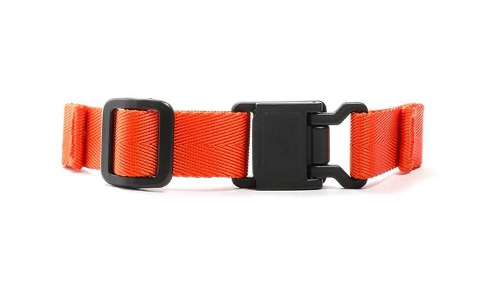 orange watch strap
