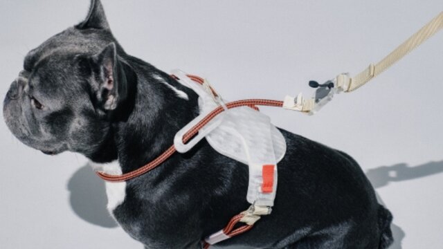 3D-Printed Dog Harness meets Magnetic Fastening 